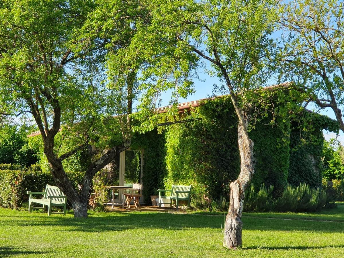 Commenda Ordine Di Malta Hotel Vignanello ภายนอก รูปภาพ